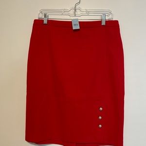 Ann Taylor Skirt